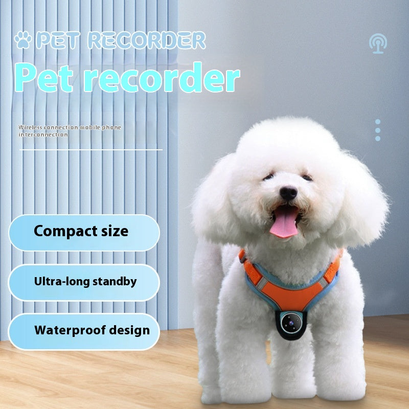 PetVision Pro