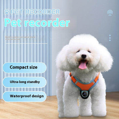 PetVision Pro