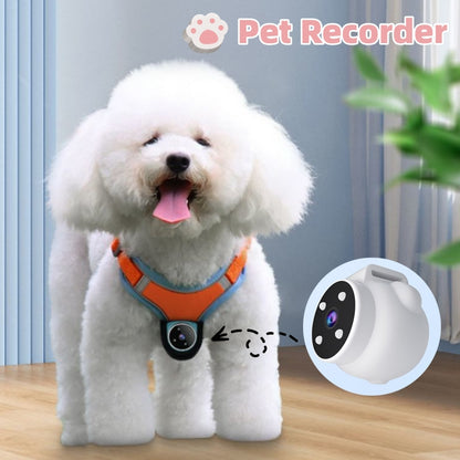 PetVision Pro
